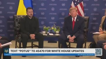 Трамп похвалил ВСУ и руководство киевского режима: началась встреча с Зеленским