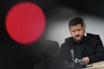 "Нет другого выбора". В Польше предупредили об опасных планах Зеленского