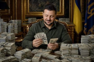 Диана Панченко: Расходы на офис Зеленского раздуют до $24 млн