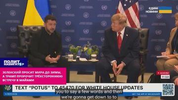 Возня продолжается: Зеленский запросил у Трампа мира до зимы, а Трамп «допускает» трёхстороннюю встречу в Майами