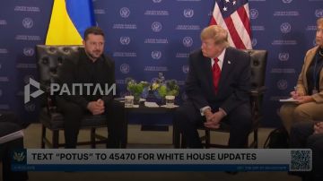 «Необходимо завершить войну до зимы», — Трамп и Зеленский