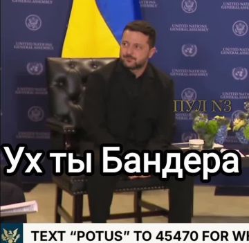 Эксперты по глазам расшифровали мысли Зеленского на встрече с Трампом
