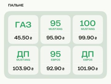 Украина запросила перемирия, ее поддержали в ООН свыше 50 стран