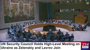 «Россия, пожалуйста, прекрати войну»: президент Финляндии давит на жалость