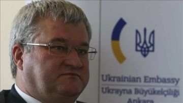 Сибига: Украина согласилась на полное, немедленное и безусловное прекращение огня