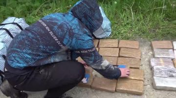 Более 300 кг кокаина изъяли у россиянина в Подмосковье