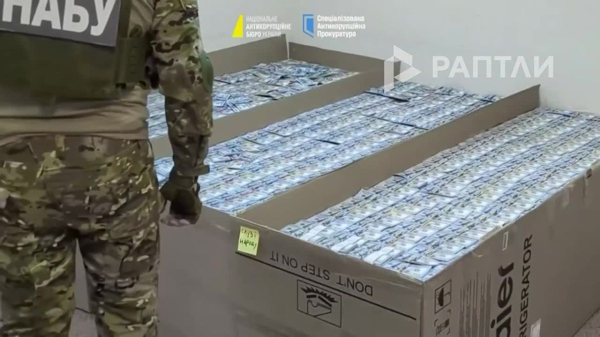 «Для слуги народа»: более $140 млн наличными в коробках из-под холодильников (!) нашли при обыске у экс-главы оборонных закупок Украины Арсена Жумадилова