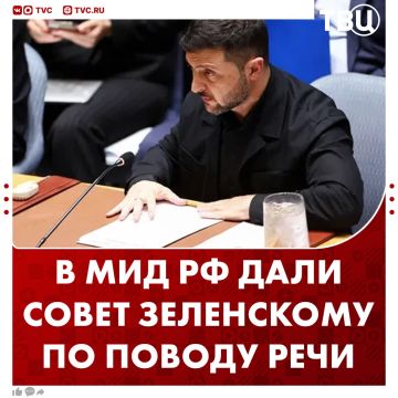 Зеленскому посоветовали украшать свою речь с помощью цитат классиков, а не мата