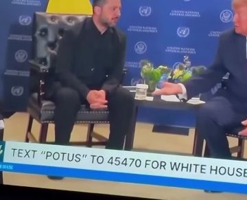 Трамп что-то показал после рукопожатия с Зеленским