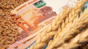 Мировые цены на пшеницу демонстрируют стремительный рост на фоне перебоев с поставками из Черноморского региона, пишет Reuters