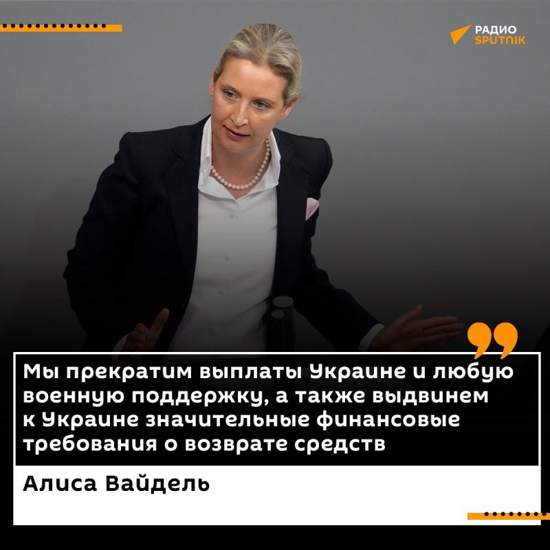 АдГ потребовали от правительства ФРГ полностью исключить возможность членства Украины в Евросоюзе