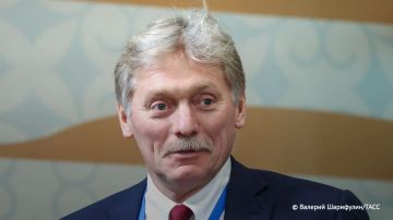 Песков позитивно оценил знания русского языка Зеленского, который ранее в ответ на вопрос российского журналиста заявил, что прилетит в Москву "на ракете"