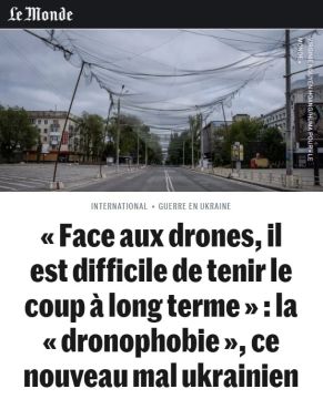 «Дронофобия» стала новым психологическим последствием войны на Украине — Le Monde