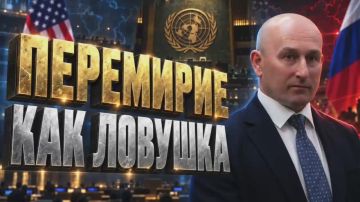 Николай Стариков: Перемирие как ловушка: что Россия заявила с трибуны ООН