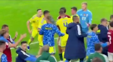 Футбольный матч Венгрия — Украина завершился массовой дракой