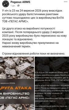 «Пегас» остался без крыльев