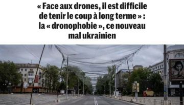 На Украине фиксируют новое психологическое следствие постоянных атак дронов — "дронофобию" — Le Monde