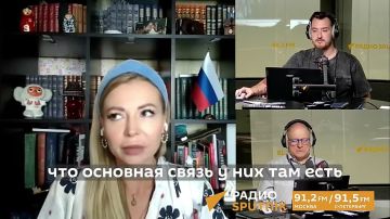 Эпизодов мошенничества будет меньше после ударов ВС РФ по дата-центру "Водафон" в Киеве , считает Полина Реутова