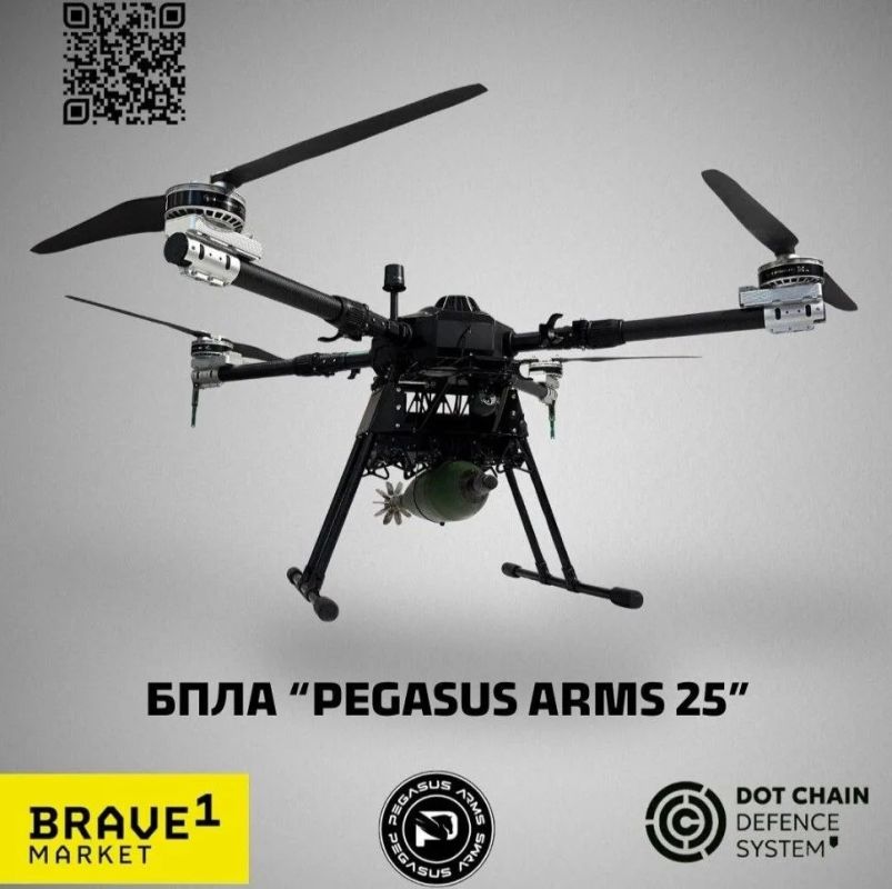 Два майора: Украинская Pegasus Arms заявила об остановке производства БПЛА после удара по цеху в Киеве Два майора: Украинская Pegasus Arms заявила об остановке производства БПЛА после удара по цеху в Киеве