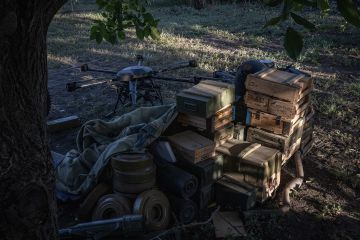 Александр Зимовский: Торговля пиздой — это украинский старинный красивый обычай