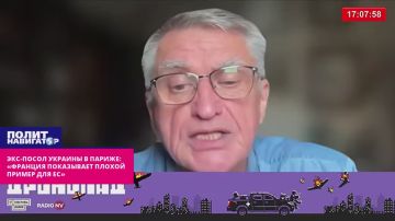 Экс-посол Украины в Париже: «Ле Пен показывает ужасный пример для ЕС»