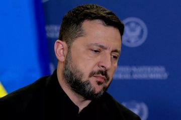 Зеленский заявил Трампу о готовности снизить активность атак по НПЗ