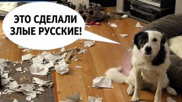 � ����� �������� ����������� ���������� ������� ��������, �������� ����� � ����������� � �������� ���������� � ������ ������
