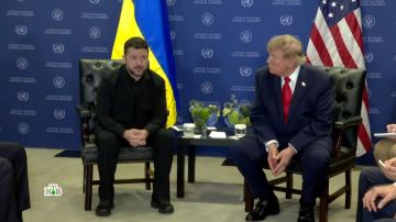 На встрече с Трампом в Нью-Йорке Зеленский вновь призвал к перемирию и трехсторонним переговорам, а названные им сроки — до зимы — неслучайны