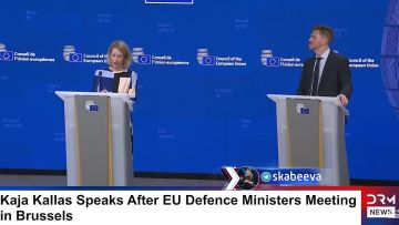 Каллас не смогла найти для Зеленского ракеты Patriot