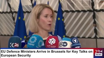 ���� ������������ ����� ���������� ������������ ����� ���� ������ ����������� �������� � ����������� �������: