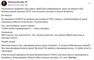 "Академики ничего не сделали для развития ПВО": депутат Рады Безуглая Национальную Академию Наук Украины "бессодержательным остатком СССР" и призвала ее закрыть