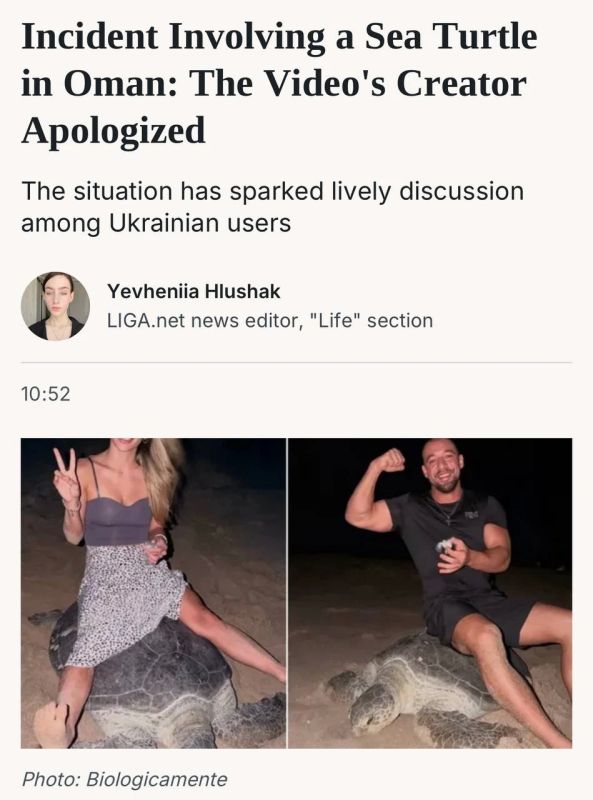 Украинцы в Омане "оседлали" краснокнижную морскую черепаху ради фото для соцсетей Украинцы в Омане "оседлали" краснокнижную морскую черепаху ради фото для соцсетей