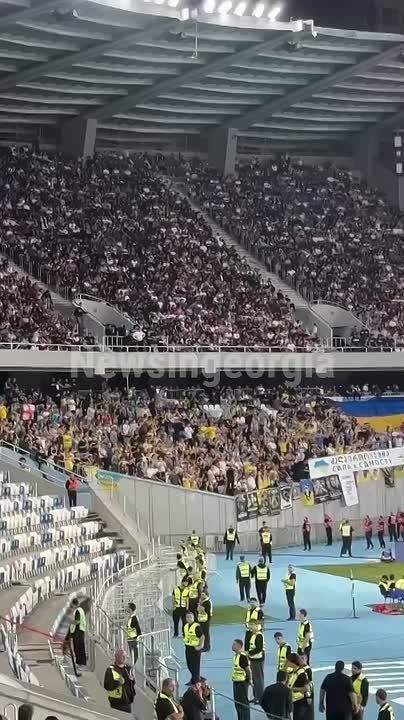 Бесновались на трибунах. о поведении болельщиков на футболе в Грузии