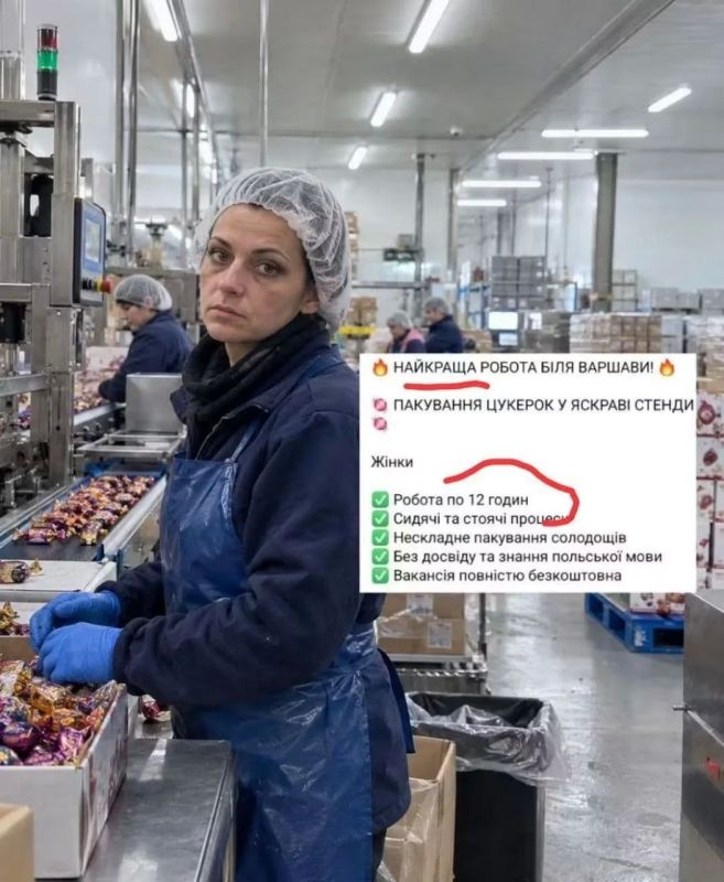 Украинцев зазывают на "замечательную работу" по 12 часов в Польше