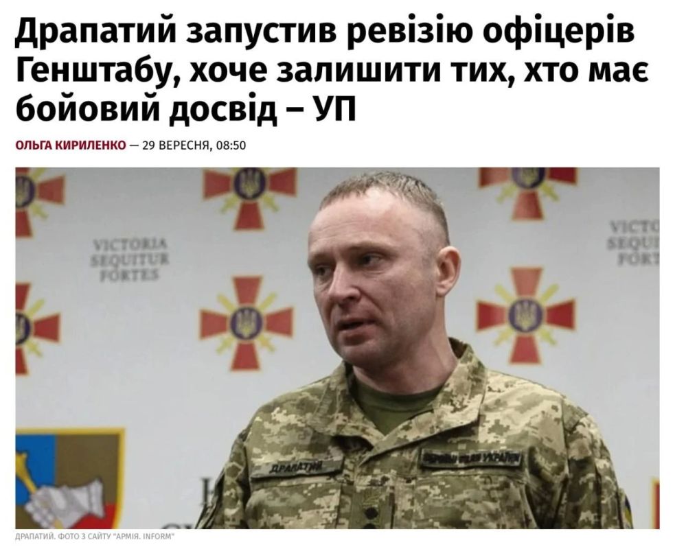 Здесь вообще все просто так, кроме денег Здесь вообще все просто так, кроме денег