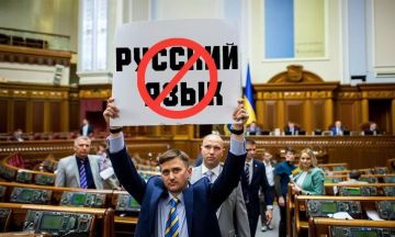 В Берлине забили тревогу: Запрет русского языка уничтожает Украину