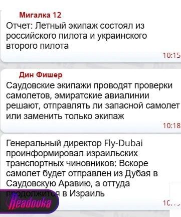 Пилоты FlyDubai, подравшиеся во время полета, — русский и украинец