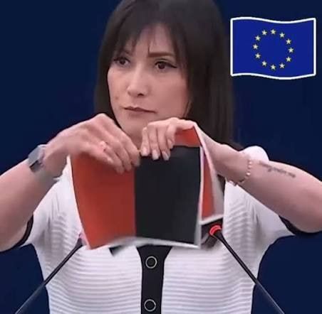 «Хватит это терпеть» — польский депутат Европарламента требует ограничить права украинских мигрантов