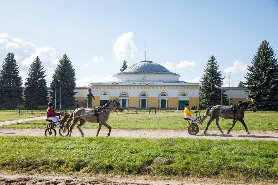 В Воронежской области отметили 250-летие Хреновского конного завода и орловской породы