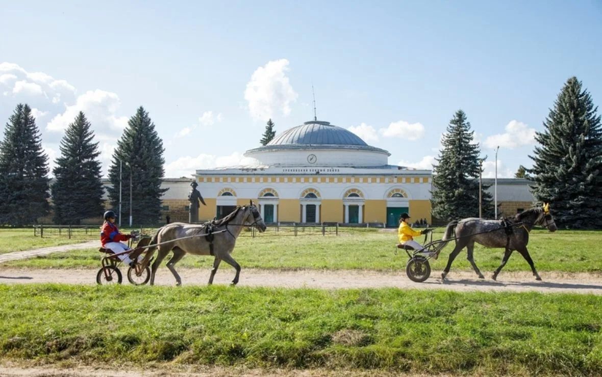 В Воронежской области отметили 250 лет орловской рысистой породе
