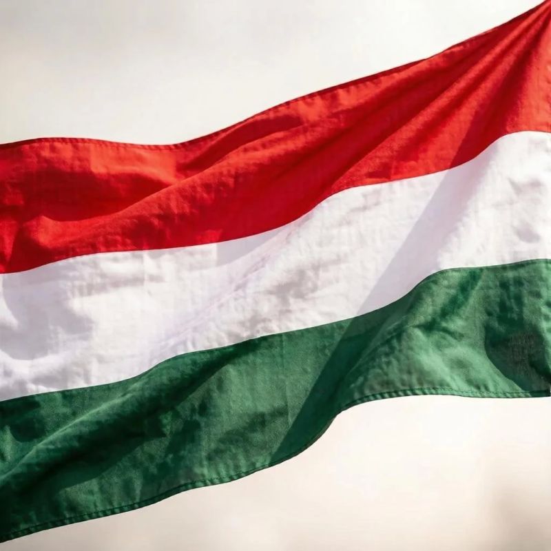 Власти Венгрии заявили, что не будут направлять вооружение и солдат на Украину