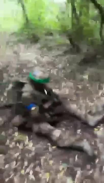 Гастроли сикарио в лесополосе