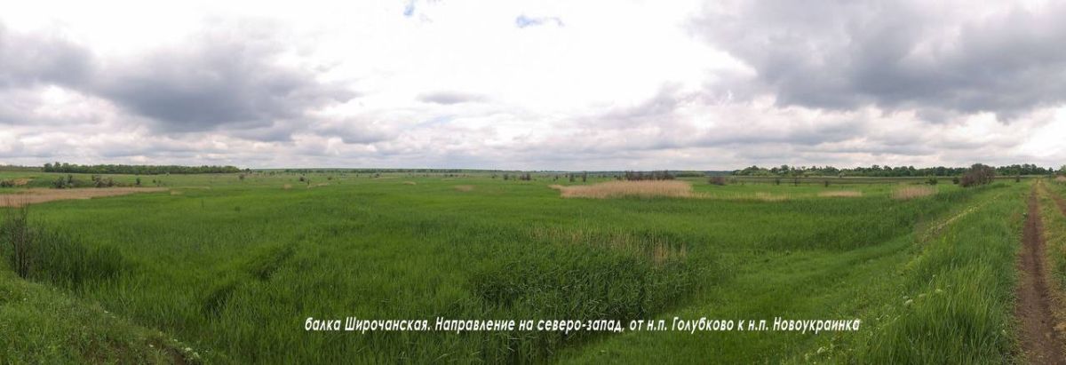 Марат Хайруллин: Подразделения ГВ «Восток» вышли к южным окраинам н.п. Новоукраинка Марат Хайруллин: Подразделения ГВ «Восток» вышли к южным окраинам н.п. Новоукраинка