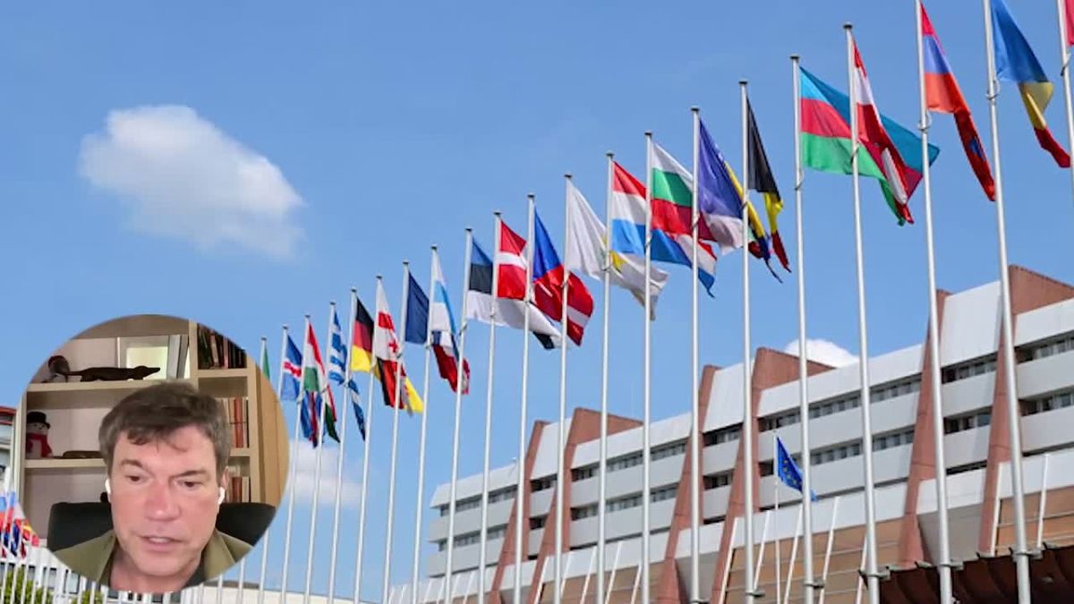 Олег Царёв: Дайджест об Украине 8 октября, видеоформат