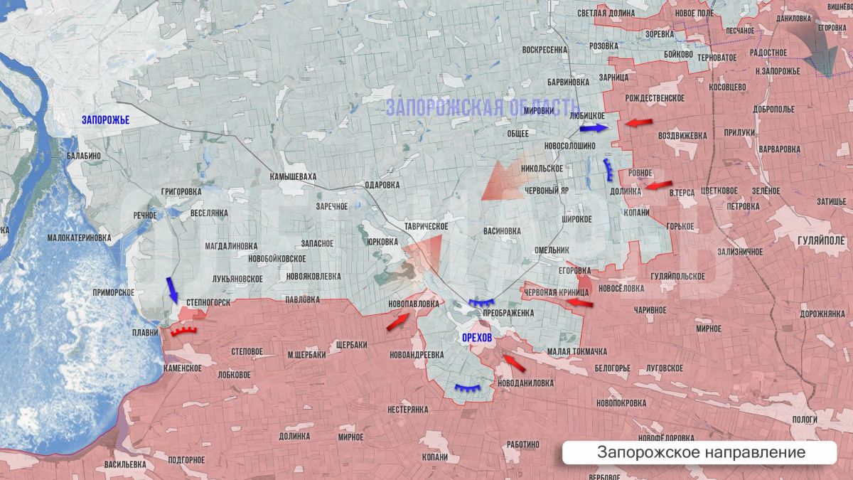 Олег Царёв: Фронтовая сводка 9 октября Олег Царёв: Фронтовая сводка 9 октября