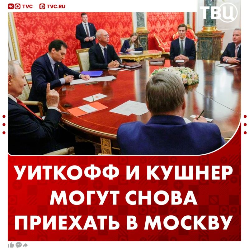 Зять Трампа и спецпосланник президента США могут встретиться с Владимиром Путиным в этом месяце