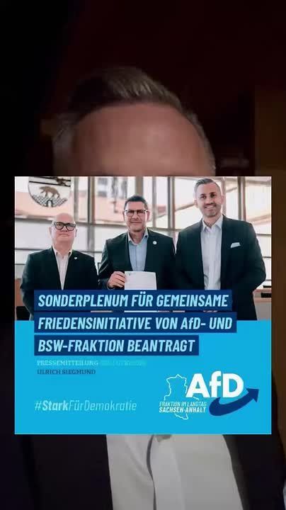 Восточная Германия: Прекращение помощи Украине со стороны ФРГ – BSW и AfD планируют совместную резолюцию