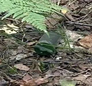 ВСУ стали сбрасывать взрывные устройства, напоминающие тубус ВСУ стали сбрасывать взрывные устройства, напоминающие тубус
