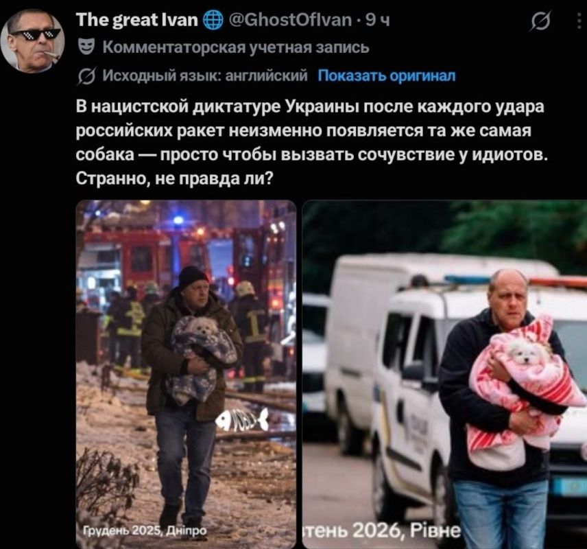 В соцсетях обсуждают собаку, которую регулярно "спасают" от обстрелов на Украине