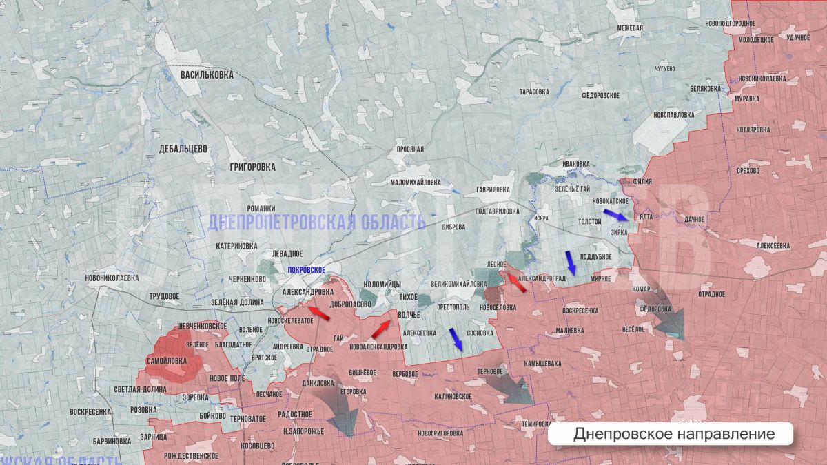 Олег Царёв: Фронтовая сводка 19 октября